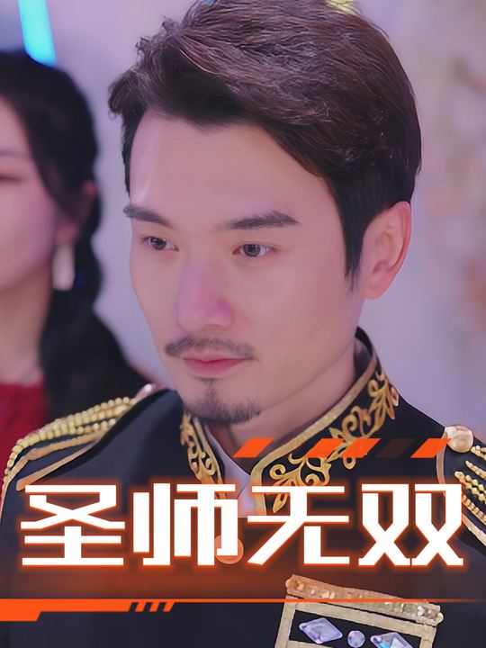圣师无双封面