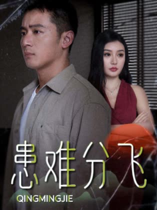 患难分飞封面