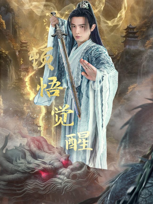 顿悟觉醒封面
