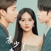 苏少,夫人要离婚封面