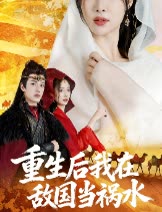 重生后我在敌国当祸水封面