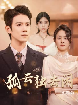 孤云独去闲()封面