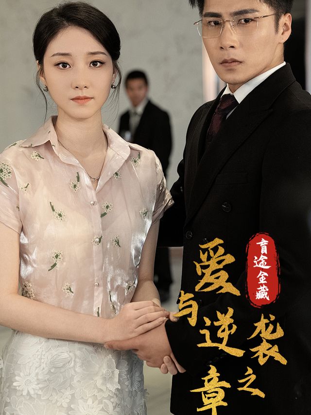 盲途金藏：爱与逆袭之章封面