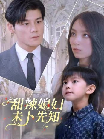 甜辣媳妇未卜先知封面