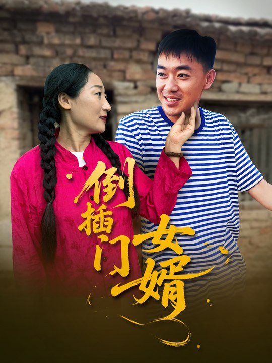 倒插门女婿封面