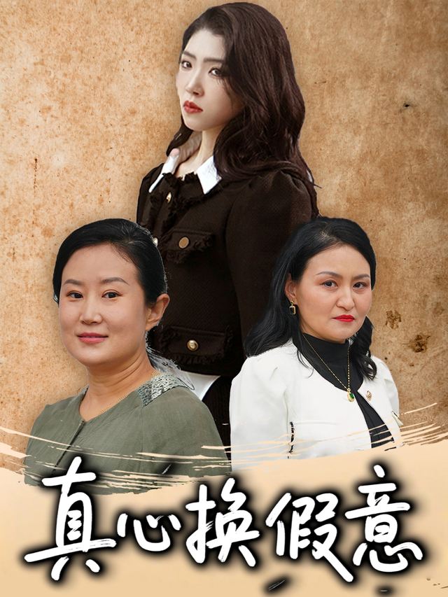真心换假意封面