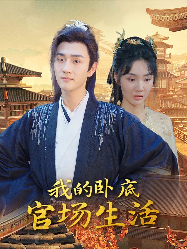 我的卧底官场生活封面