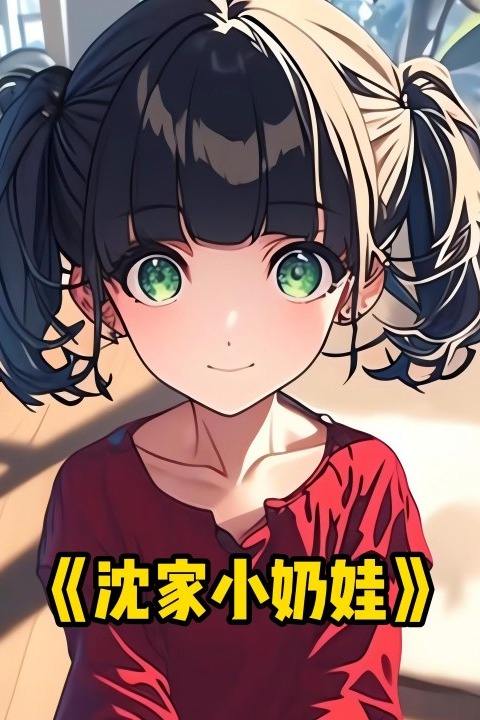 沈家小奶娃封面