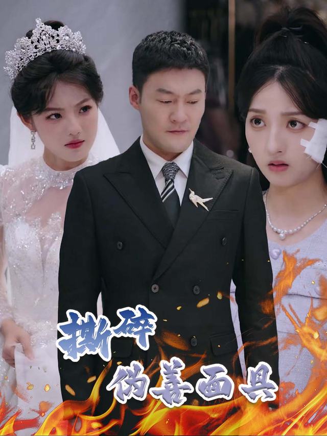 撕碎伪善面具封面