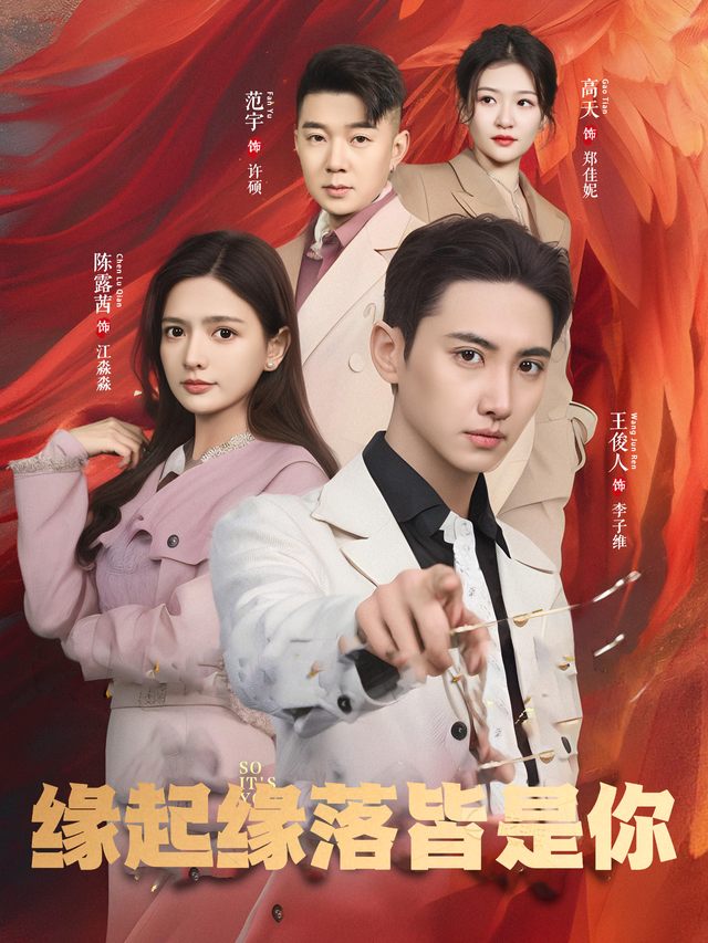 缘起缘落皆是你封面