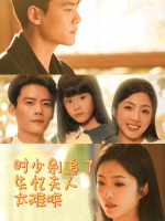 时少别追了失忆夫人太难哄封面
