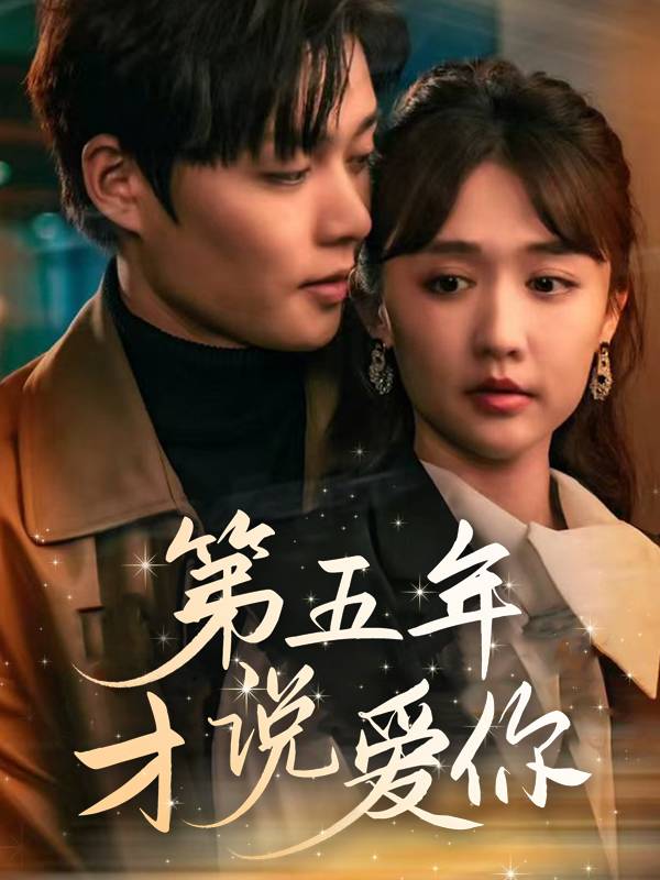第五年才说爱你封面