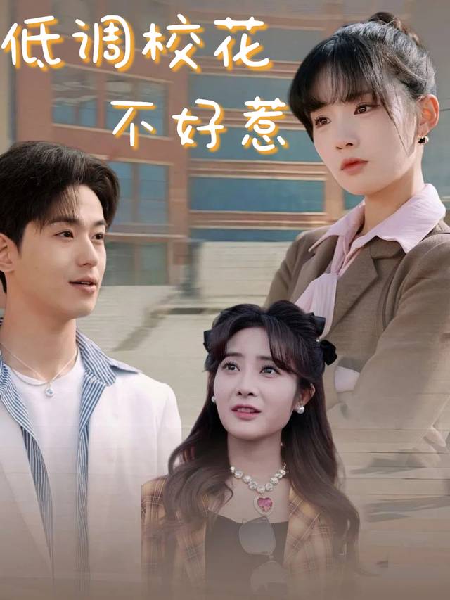 低调校花不好惹封面