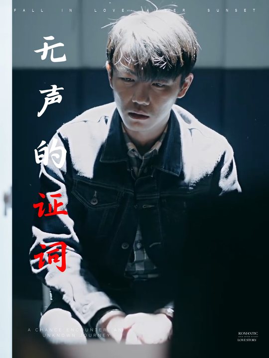 无声的证词封面