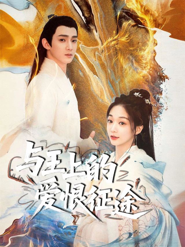 与王上的爱恨征途封面