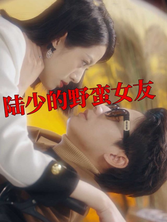 陆少的野蛮女友封面