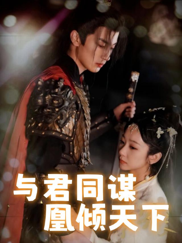 与君同谋 凰倾天下封面