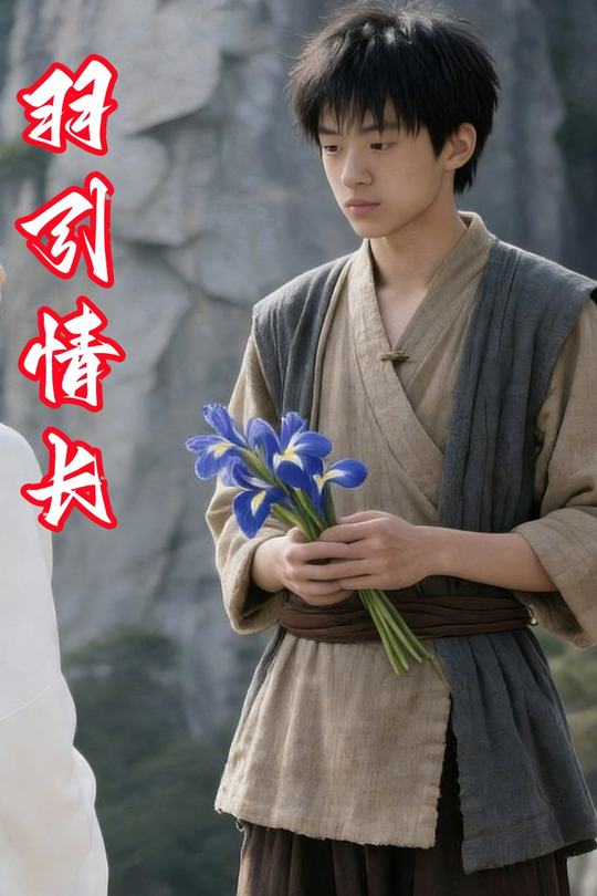 羽引情长封面