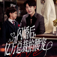 闪婚后,亿万总裁掐腰宠封面