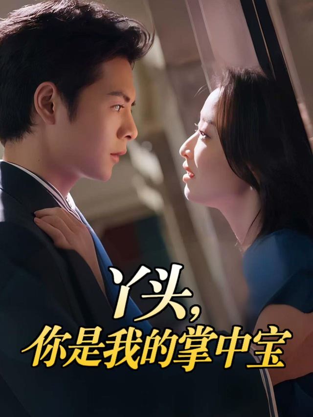丫头,你是我的掌中宝封面