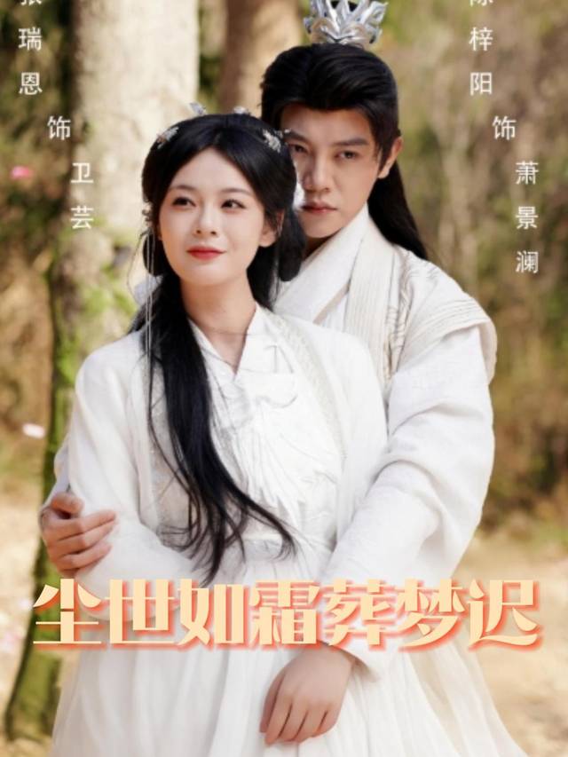 尘世如霜葬梦迟封面