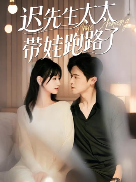 迟先生太太带娃跑路了封面