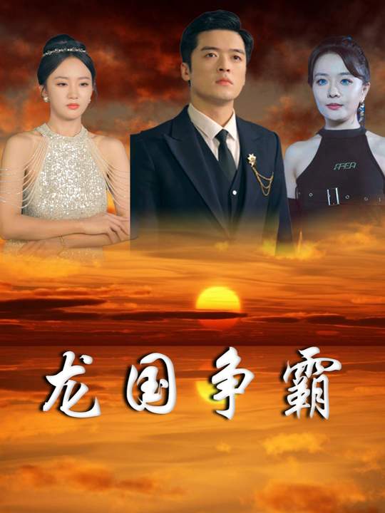 龙国争霸封面
