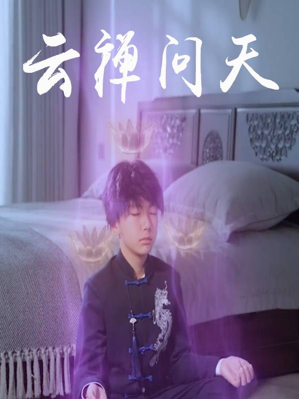 云禅问天封面