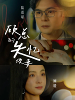 顾总的失忆傻妻封面