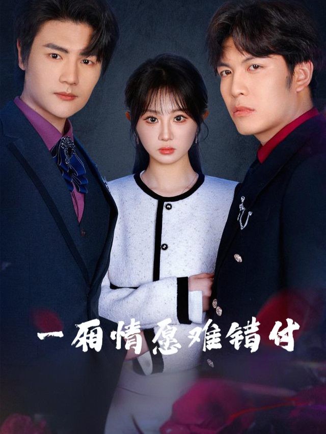 一厢情愿难错付封面