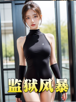 监狱风暴封面