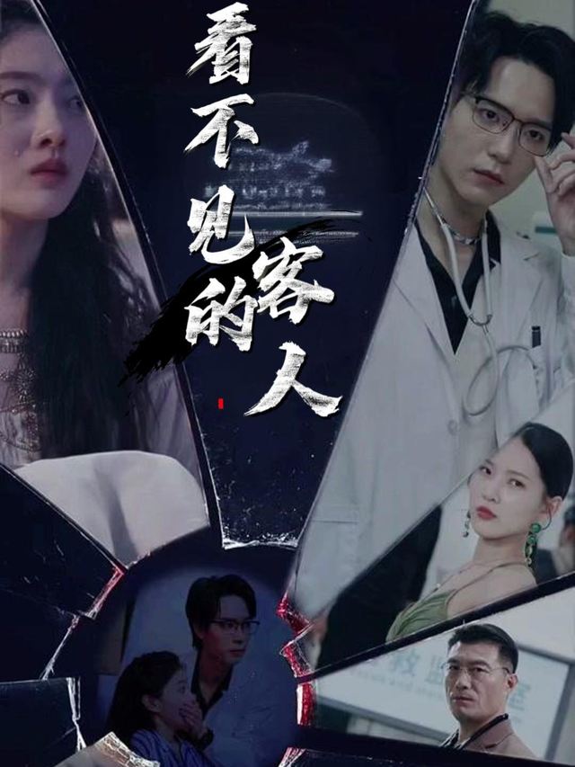 看不见的客人封面