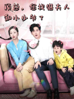 顾总您找错夫人和小少爷了封面