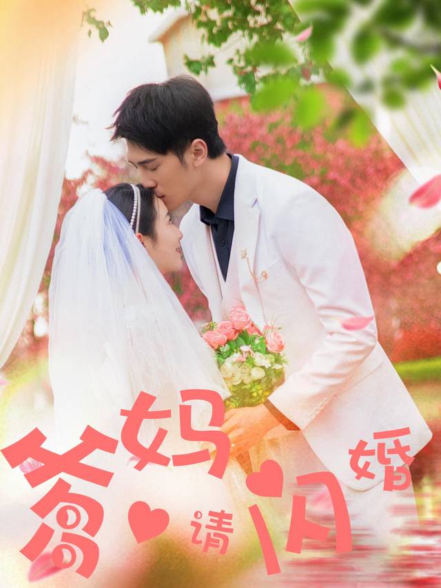 爹妈请闪婚封面