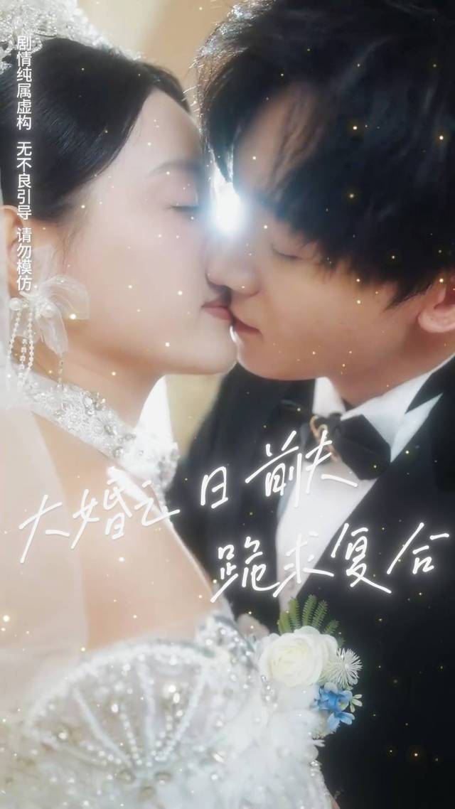 大婚之日前夫跪求复合封面