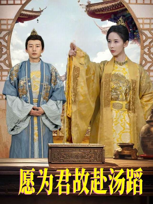 愿为君故赴汤蹈封面