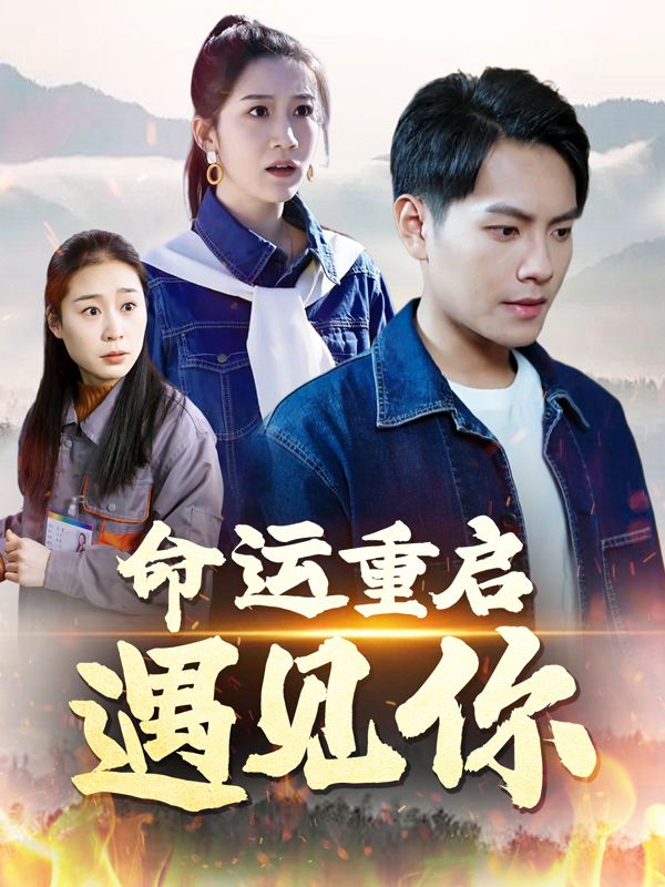 命运重启:遇见你封面