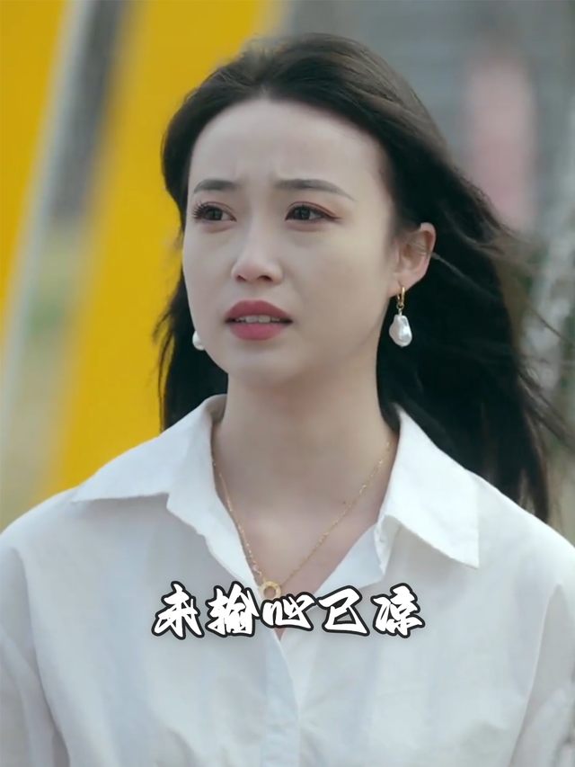 未输心已凉封面