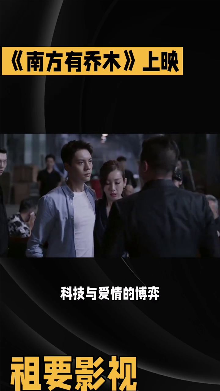 南方有乔木封面