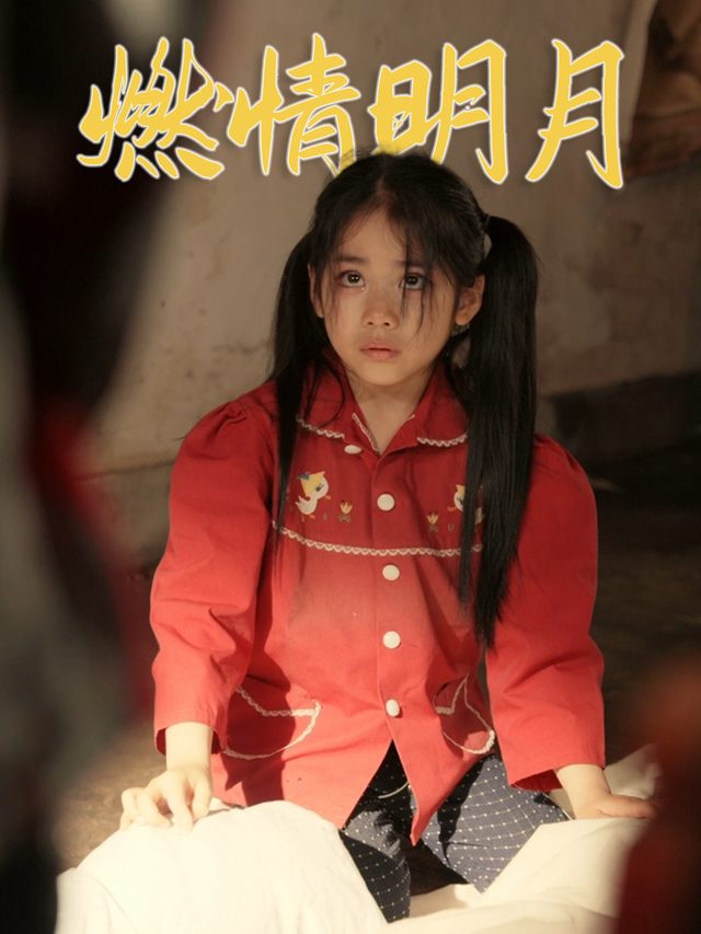 燃情明月封面