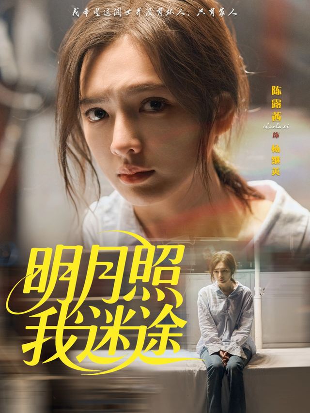 明月照我迷途封面