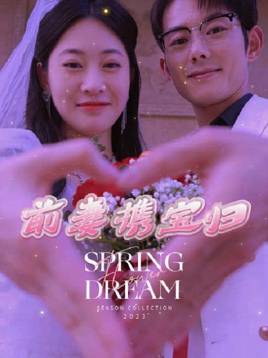 前妻携宝归封面