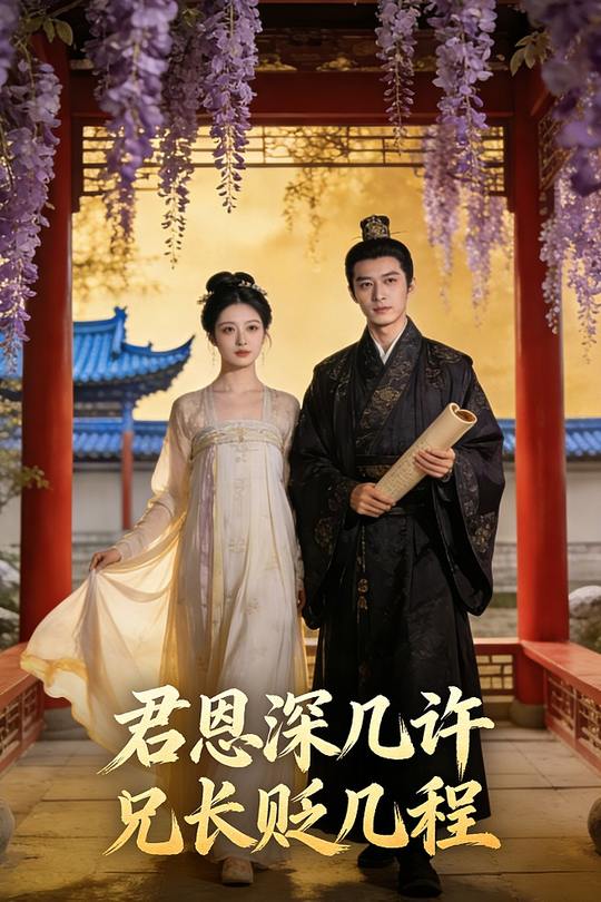君恩深几许兄长贬几程封面