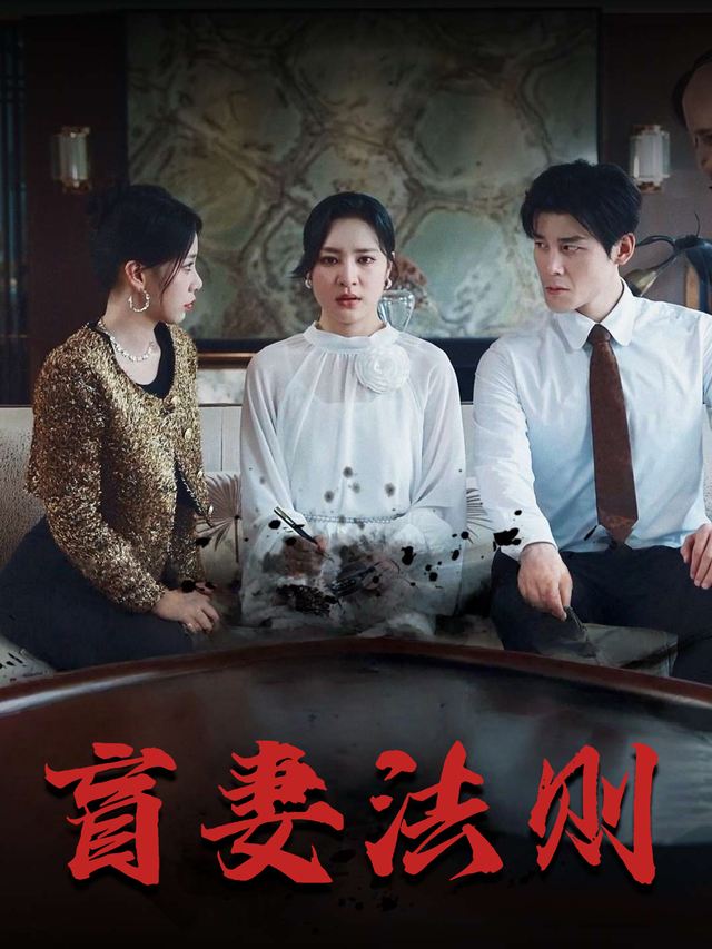 盲妻法则封面