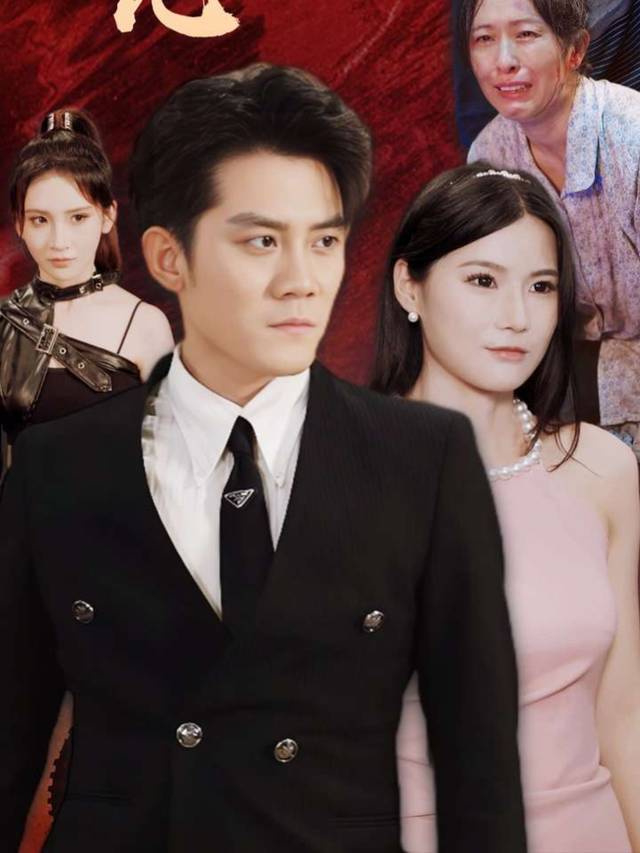 归来无惧封面