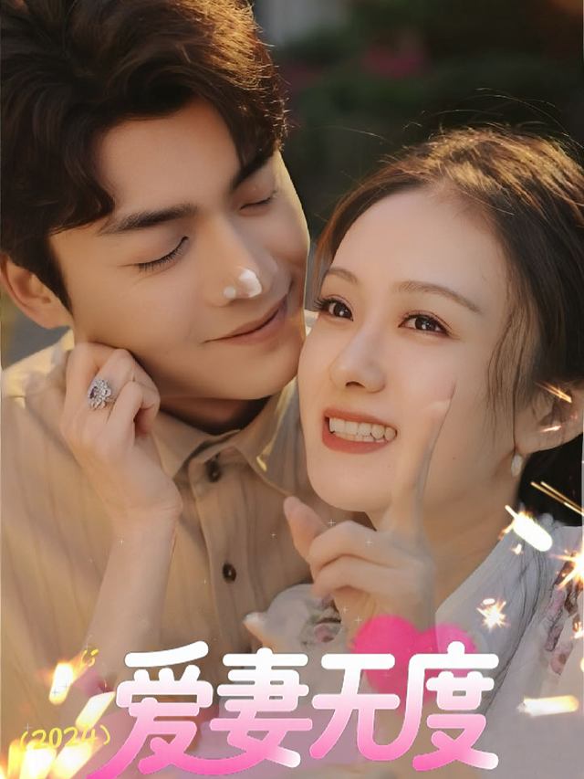 爱妻无度封面