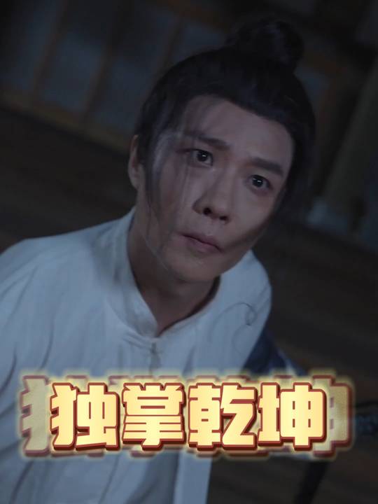 独掌乾坤封面