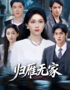 归雁无家封面