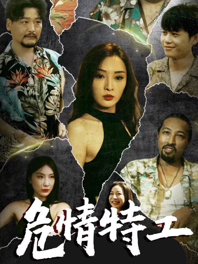 危情特工封面
