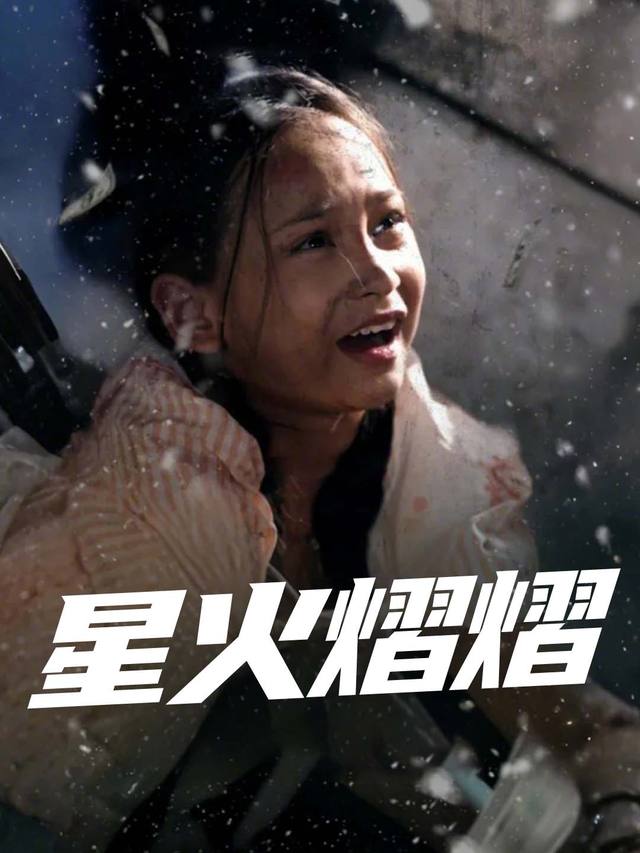 星火熠熠封面